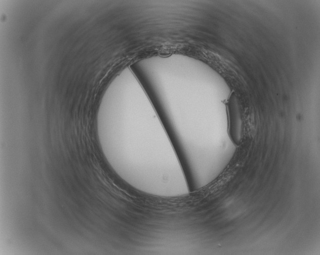 X0000079280756200612081753