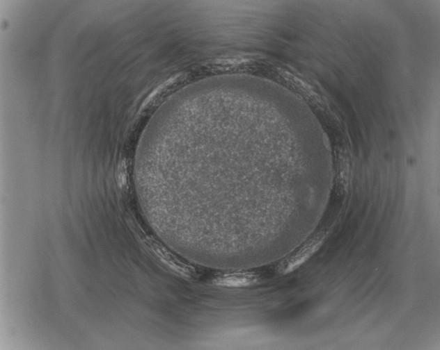 X0000079280758200612081753