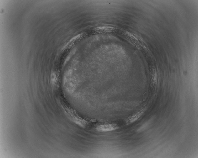 X0000079280759200612081753