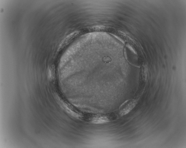 X0000079280760200612081753