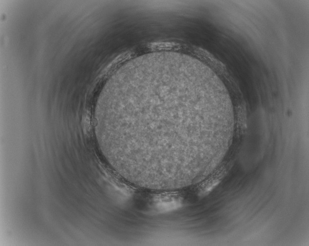 X0000079280761200612081753