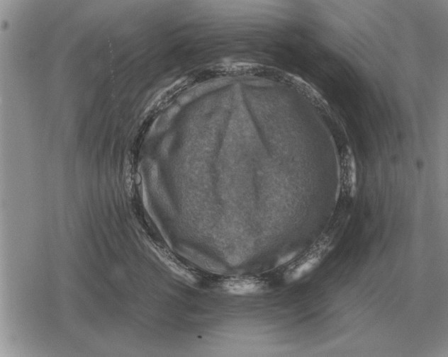 X0000079280762200612081753