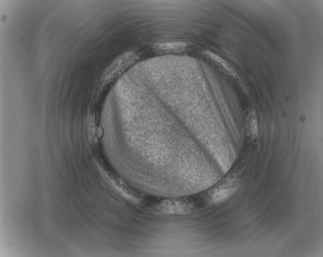 X0000079280764200612081753