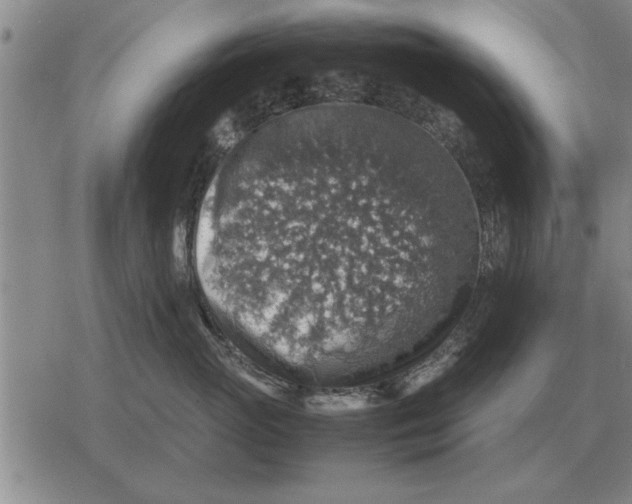 X0000079280765200612081753