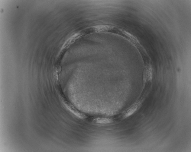 X0000079280766200612081753