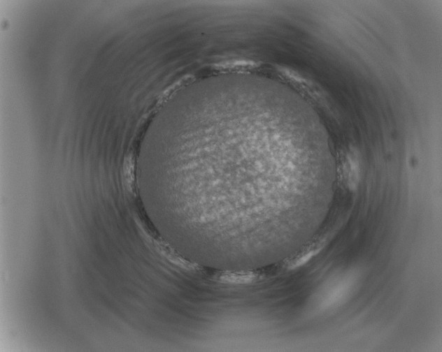 X0000079280767200612081753