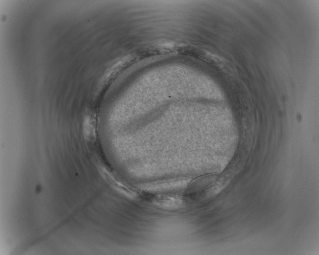 X0000079280768200612081753