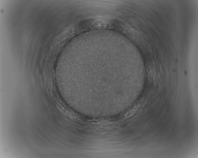 X0000079280769200612081752