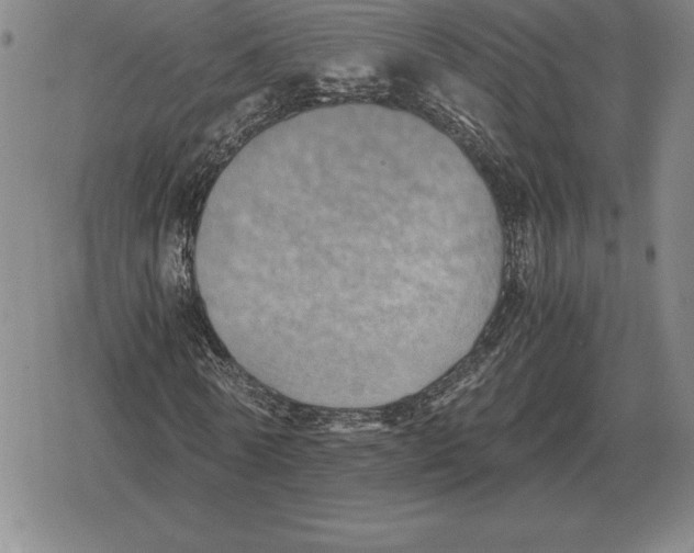 X0000079280770200612081752