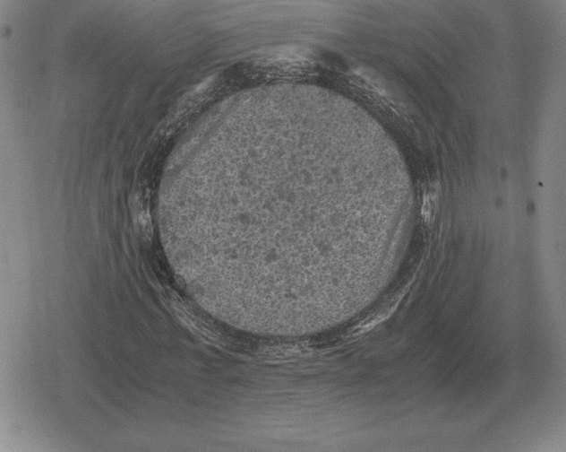 X0000079280771200612081752