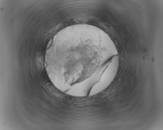 X0000079280772200612081752