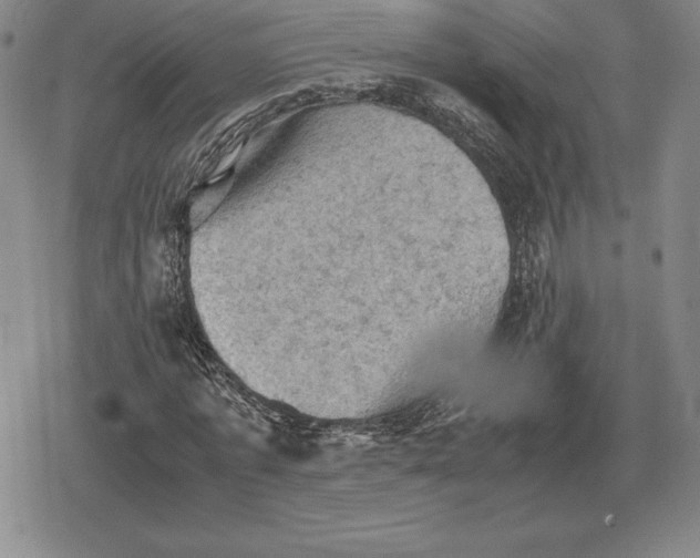 X0000079280773200612081752