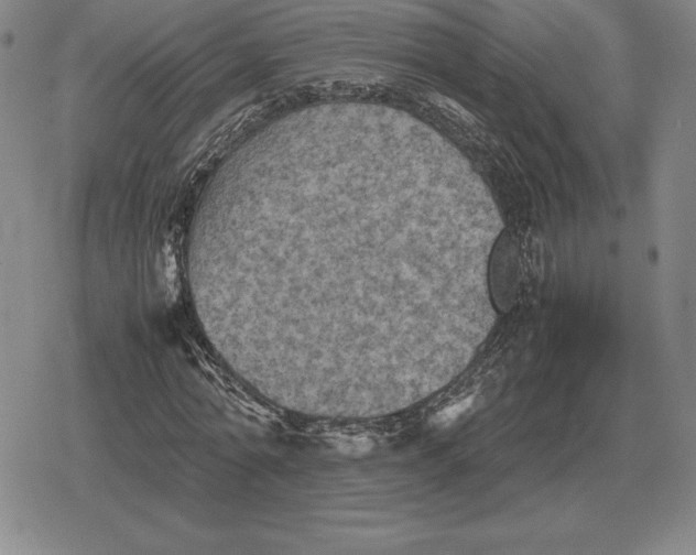 X0000079280774200612081752