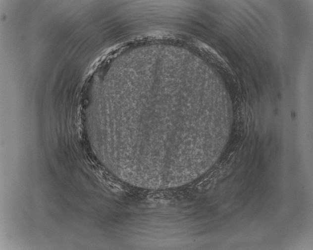 X0000079280776200612081752