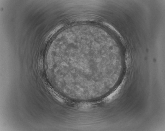 X0000079280777200612081752