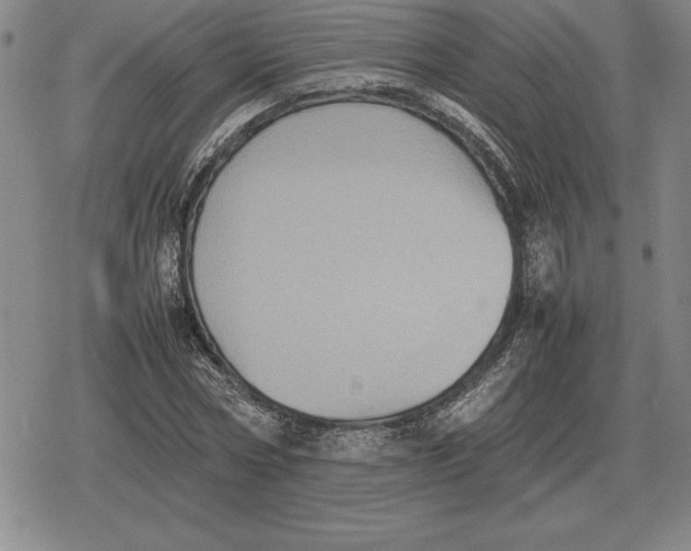 X0000079280778200612081752