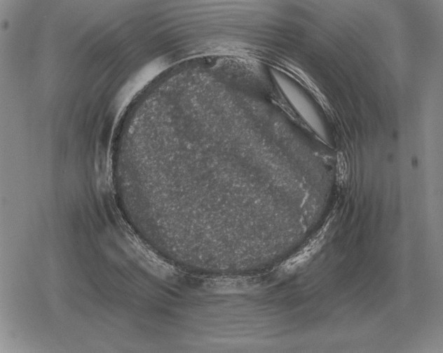 X0000079280780200612081752