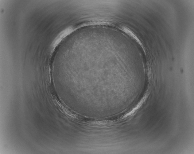 X0000079280781200612081752