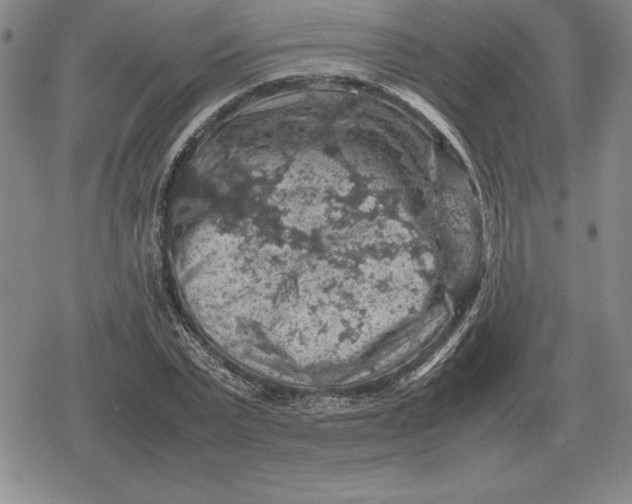 X0000079280783200612081752