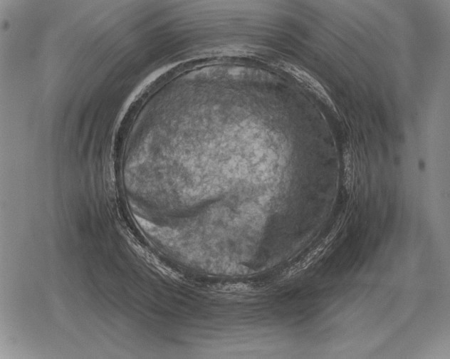 X0000079280784200612081752