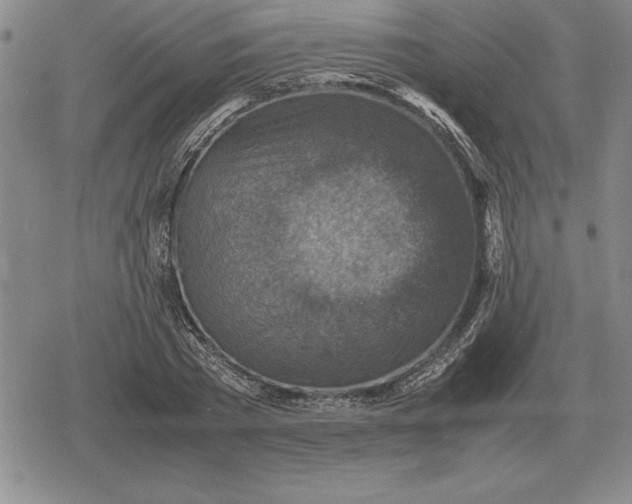 X0000079280785200612081752