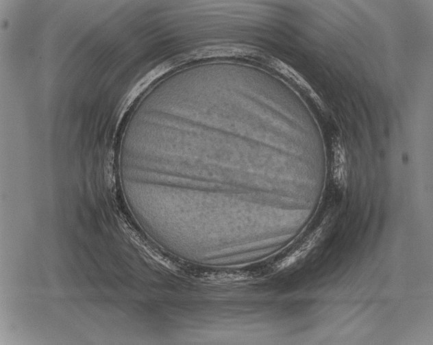 X0000079280786200612081752