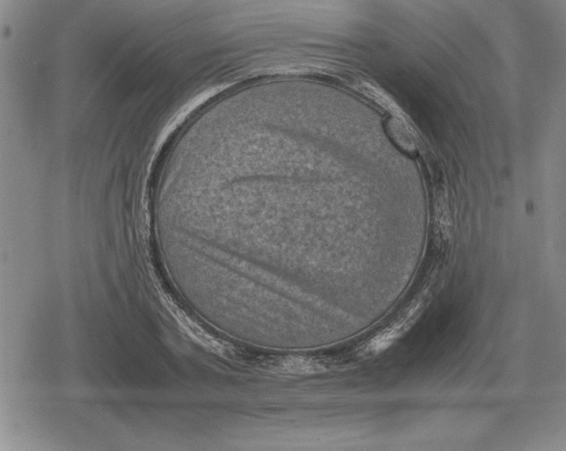 X0000079280787200612081752