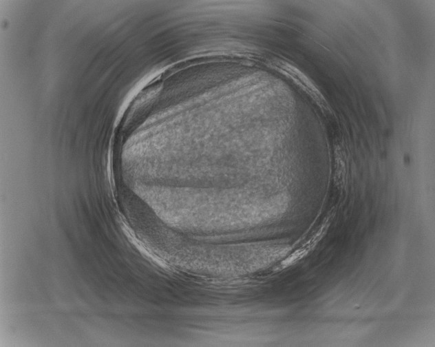 X0000079280788200612081752