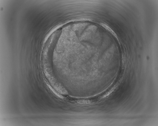 X0000079280789200612081752