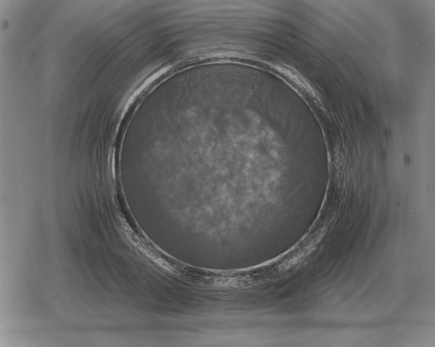 X0000079280790200612081752