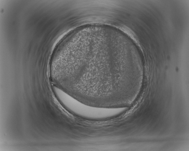 X0000079280791200612081752