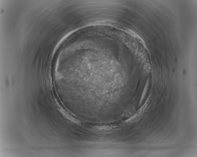 X0000079280792200612081752