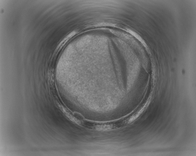 X0000079280793200612081752