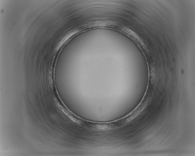 X0000079280794200612081752