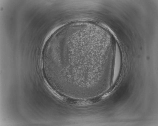 X0000079280795200612081752