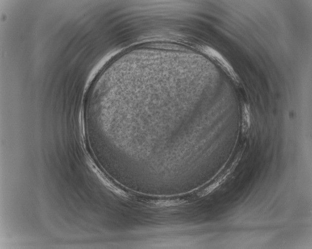 X0000079280796200612081752