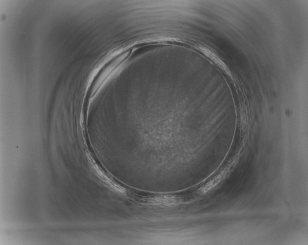 X0000079280797200612081752