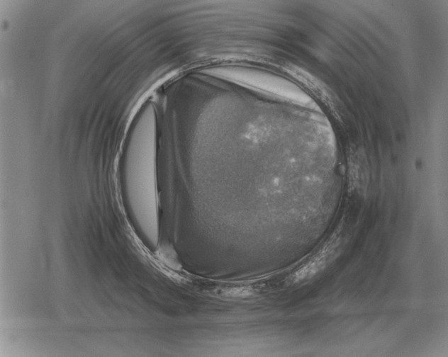 X0000079280798200612081752