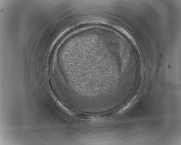 X0000079280799200612081752