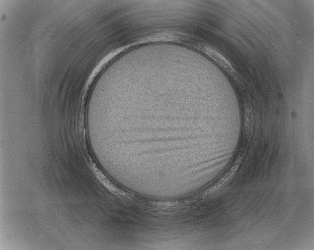 X0000079280800200612081752