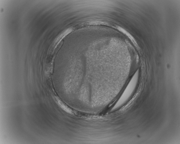 X0000079280801200612081752