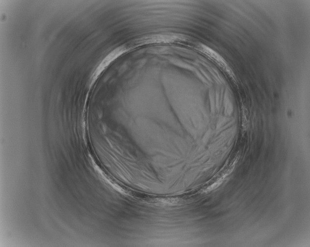 X0000079280802200612081752