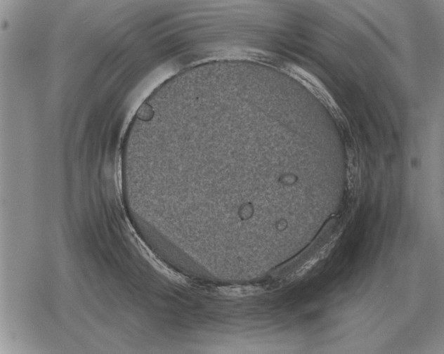 X0000079280804200612081752