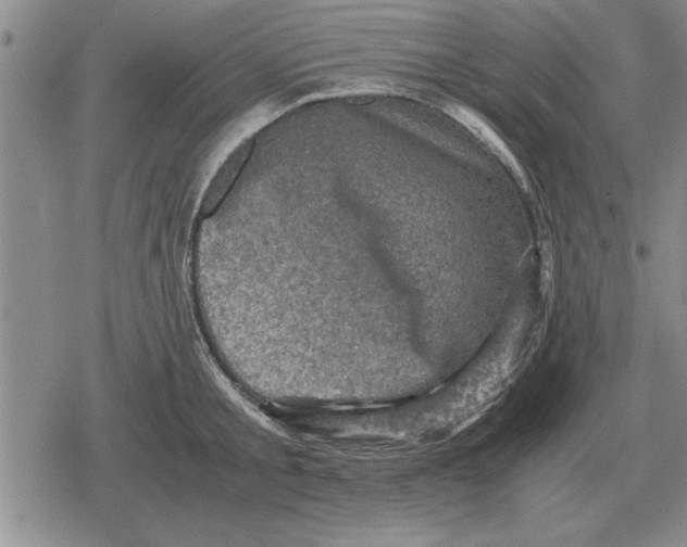 X0000079280805200612081752