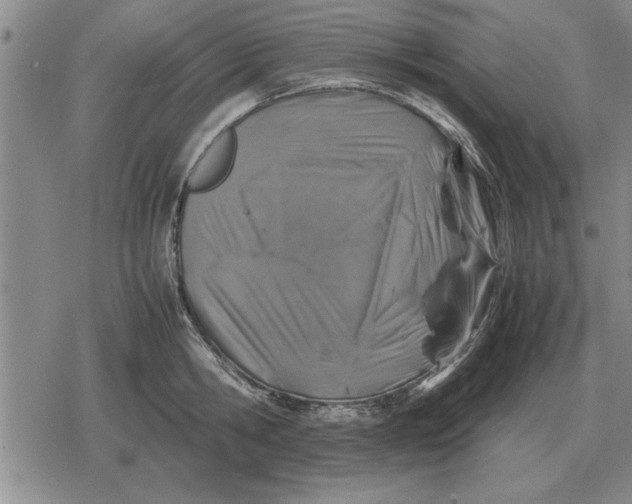 X0000079280806200612081752