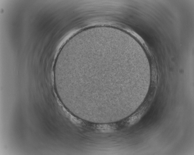 X0000079280807200612081752