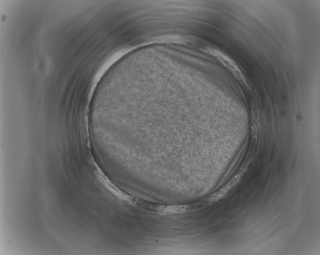 X0000079280808200612081751