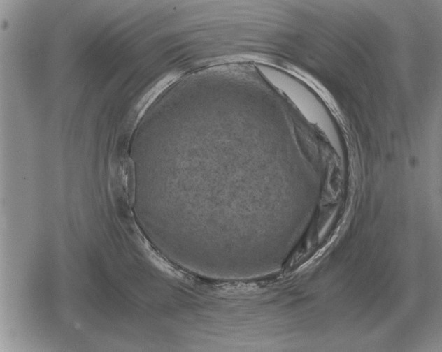 X0000079280809200612081751