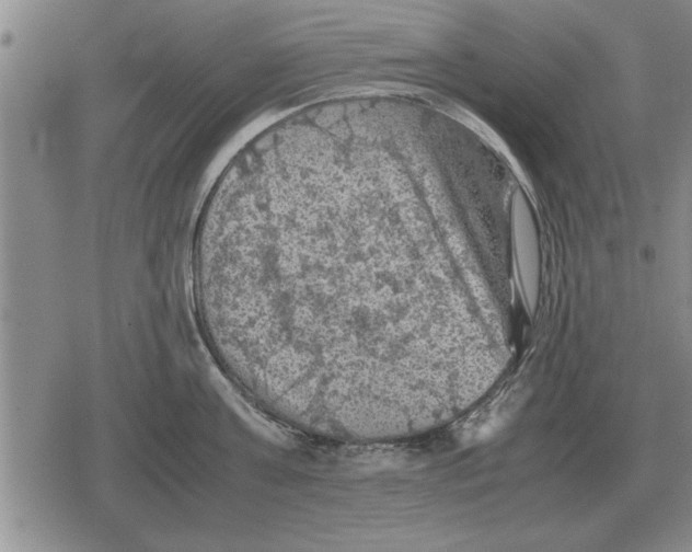 X0000079280811200612081751