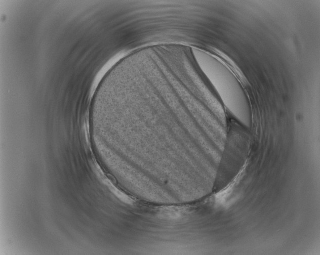 X0000079280812200612081751